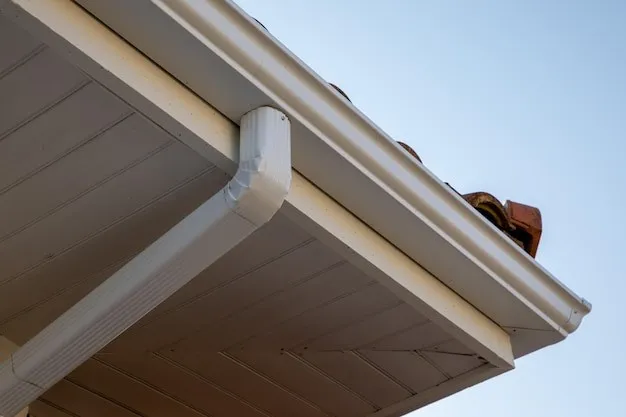 Gutters Services